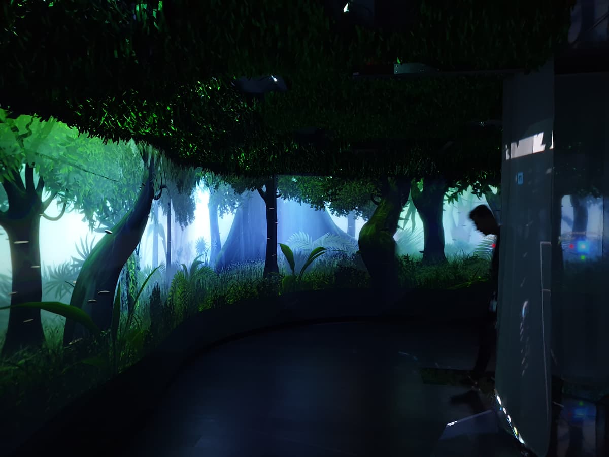 The finished Amazon forest environment